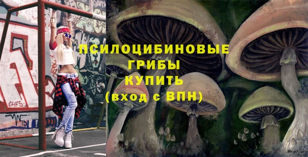 mix Осинники