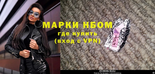 шишки Осташков