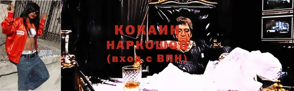 шишки Осташков
