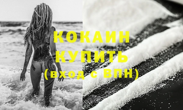 шишки Осташков