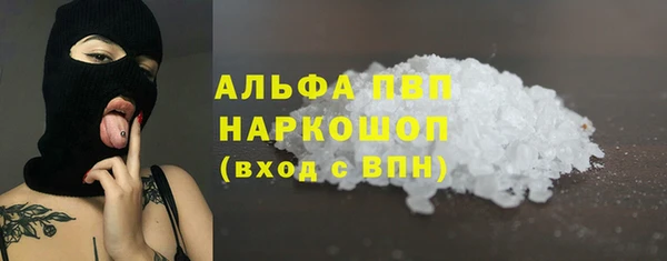 шишки Осташков