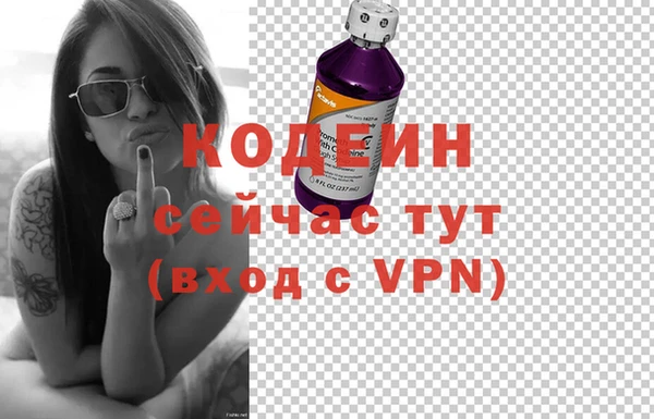 шишки Осташков
