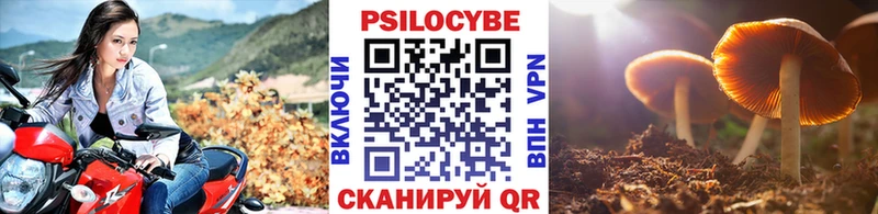 Псилоцибиновые грибы MAGIC MUSHROOMS  Усмань 